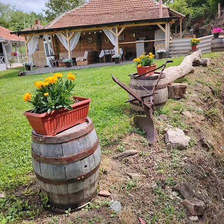 Appartement Ruj Sokobanja